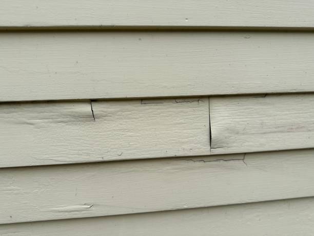 Best Custom Trim and Detailing for Siding  in Ashland, OH